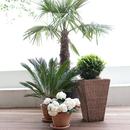 Townhouse Riva, Prime Location In The City Of Salzburg, 1000m2 Backyard Villa *